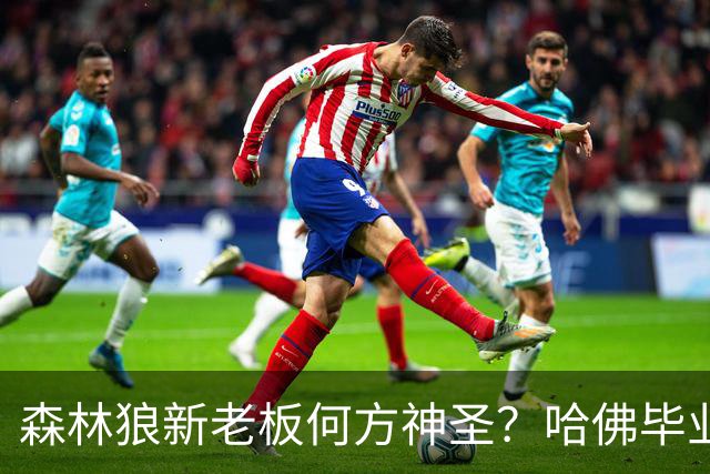 森林狼新老板何方神圣？哈佛毕业 曾投资阿里巴巴 管理超350亿刀